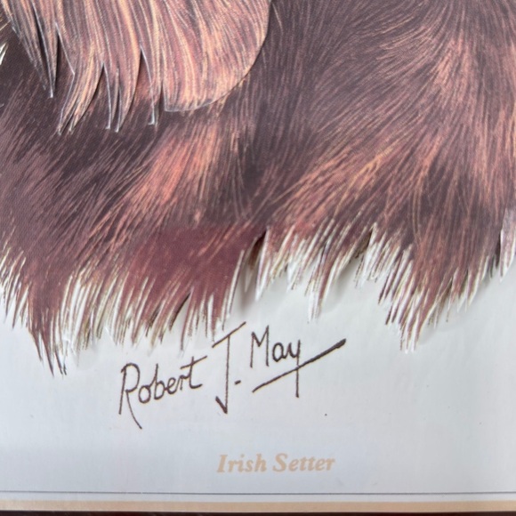 Irish Setter Dog 3D Print Signed By Artist Robert J. May Wooden Frame 9 X 11.5 - Picture 3 of 11